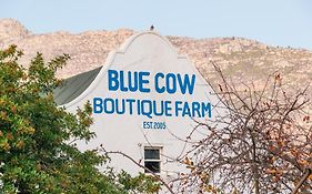 Blue Cow Barn - Boutique Farm